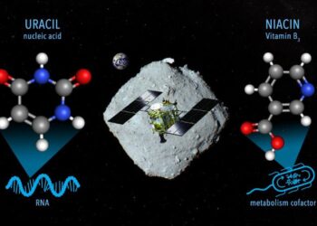 Asteroide Ryugu contiene vitamina B3 y un componente básico del ARN