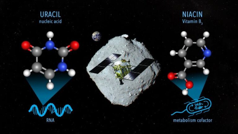 Asteroide Ryugu contiene vitamina B3 y un componente básico del ARN