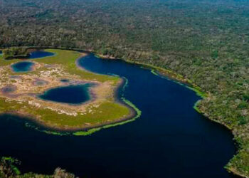 Buscan crear medidas para la adaptación y mitigación al cambio climático. /Foto: Conap
