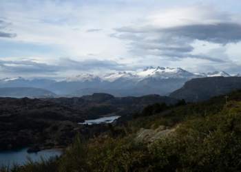 Un 7.1 % de bosques de montaña se ha perdido desde comienzos de siglo