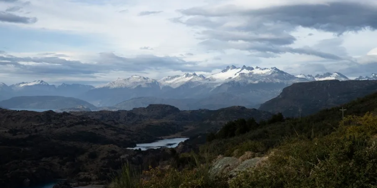 Un 7.1 % de bosques de montaña se ha perdido desde comienzos de siglo