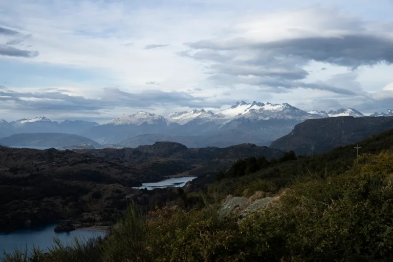 Un 7.1 % de bosques de montaña se ha perdido desde comienzos de siglo