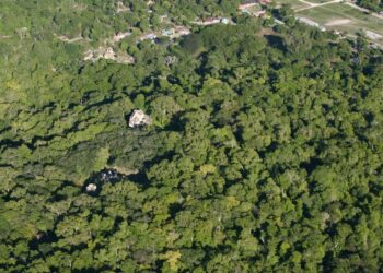 Comparten información sobre la importancia de los bosques