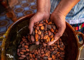 Feria del chocolate resalta la importancia del cacao. /Foto: INGUAT