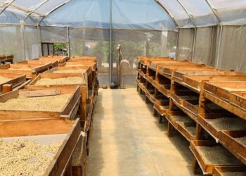 Pequeños caficultores de San Juan Sacatepéquez reciben centro de acopio