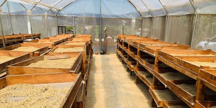 Pequeños caficultores de San Juan Sacatepéquez reciben centro de acopio