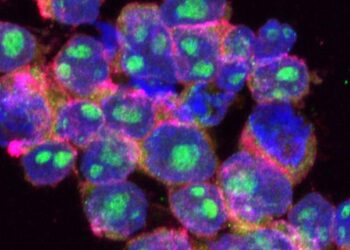 Crean nanocápsulas con control remoto para ampliar efecto de quimioterapias