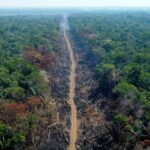 Datos satelitales confirman que la Amazonia pierde sus bosques