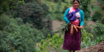 Estrategias buscan apoyar a la mujer en sus actividades diarias. /Foto: SCSP