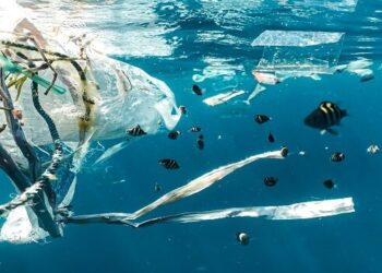 Descubren un aumento “sin precedentes” de plástico en los océanos