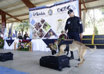 Binomios K-9 se suman al trabajo antinarcótico en el territorio
