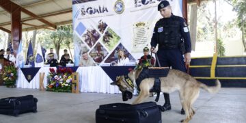 Binomios K-9 se suman al trabajo antinarcótico en el territorio