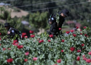 Más de mil 210 millones de quetzales incautados al narcotráfico durante 2023