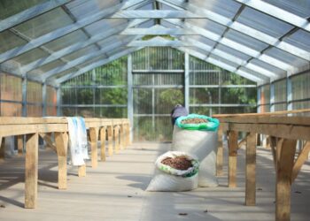 Acciones de agricultura buscan beneficiar a los productores a nivel nacional. /Foto: MAGA