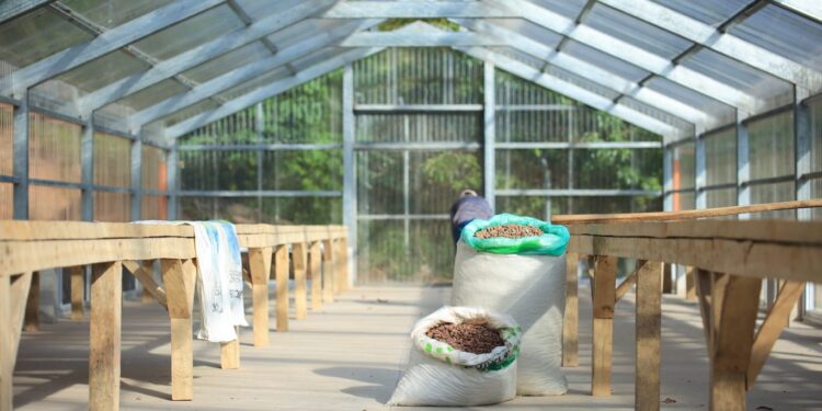 Acciones de agricultura buscan beneficiar a los productores a nivel nacional. /Foto: MAGA