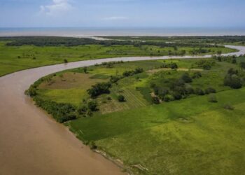 Guatemala y The Ocean Cleanup buscan sanear el río Motagua. /Foto: MARN