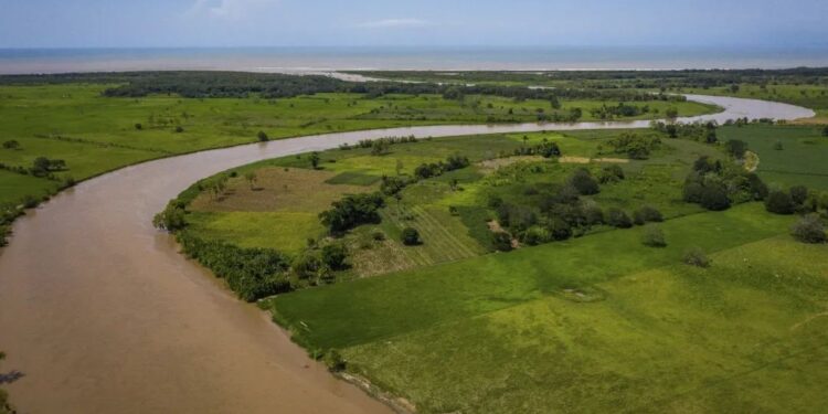 Guatemala y The Ocean Cleanup buscan sanear el río Motagua. /Foto: MARN