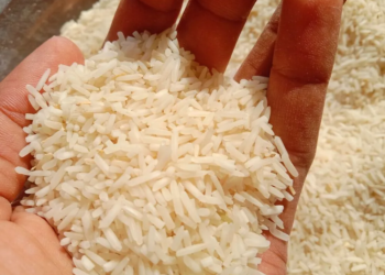 Guatemala recibe donación de arroz de la República de China (Taiwán)