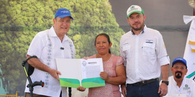 Entregan prórrogas de concesiones forestales para manejo integral de recursos en Petén