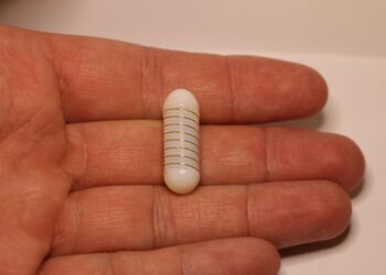 Cápsula inspirada en piel de lagarto estimula hormona del apetito