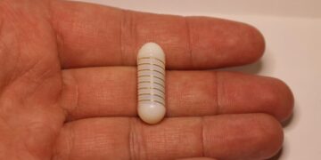 Cápsula inspirada en piel de lagarto estimula hormona del apetito