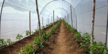 MAGA refuerza infraestructura productiva en área rural de Petén