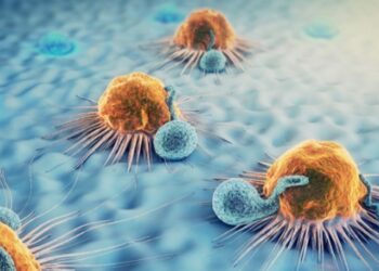 Células pueden reprogramarse para combatir el cáncer de mama