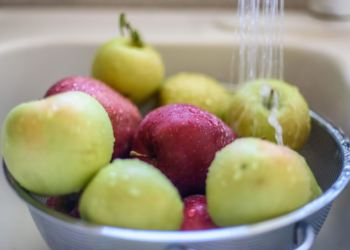 Hacen llamado a tomar medidas para evitar malestares intestinales