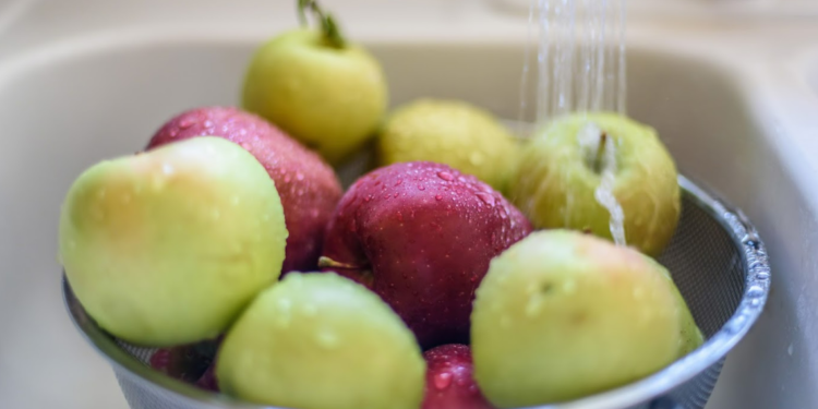 Hacen llamado a tomar medidas para evitar malestares intestinales