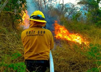 Coordinan acciones para combatir incendios forestales en Petén