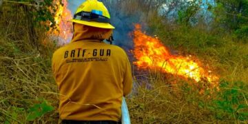 Coordinan acciones para combatir incendios forestales en Petén