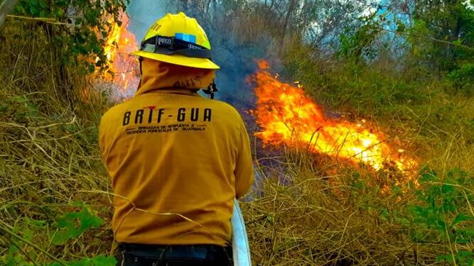 Coordinan acciones para combatir incendios forestales en Petén