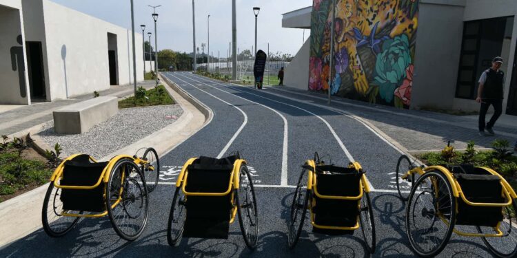 Este es el proceso de inscripción para las academias deportivas del MCD