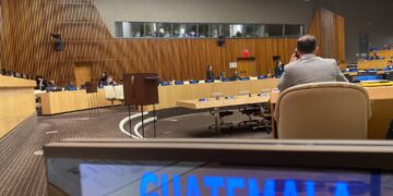 Guatemala formará parte de tres órganos subsidiarios del ECOSOC