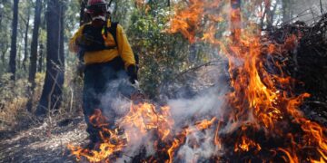 Más de 3 mil hectáreas consumidas por incendios forestales