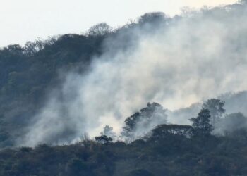 Continúan labores para sofocar incendios forestales