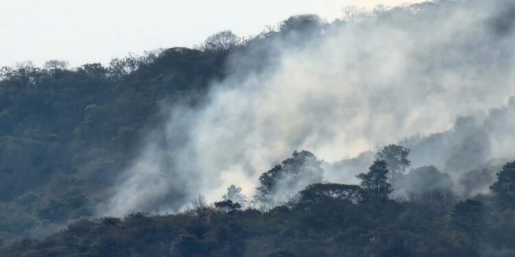 Continúan labores para sofocar incendios forestales