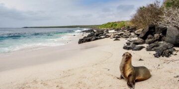Proponen un manejo ecosistémico para enfrentar pesca ilegal en Galápagos