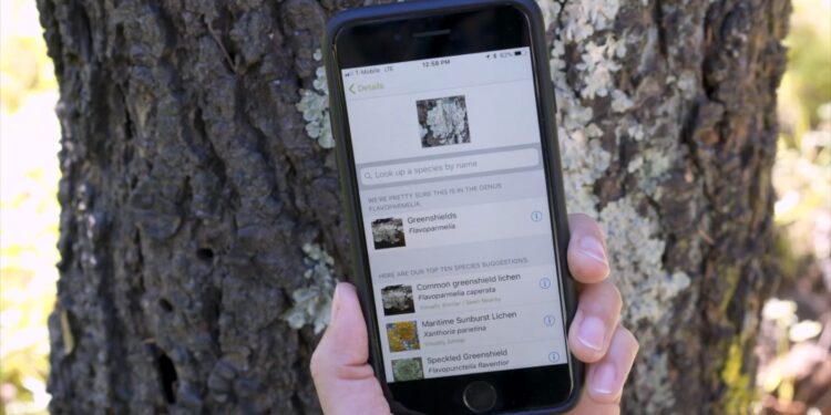 Da inicio la segunda edición del Reto Naturalista Ciudad de Guatemala