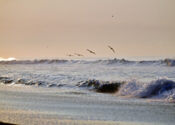 Sipacate, destino ideal para el asueto