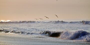 Sipacate, destino ideal para el asueto