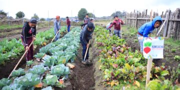 Maga impulsará 4 mil huertos escolares este 2023