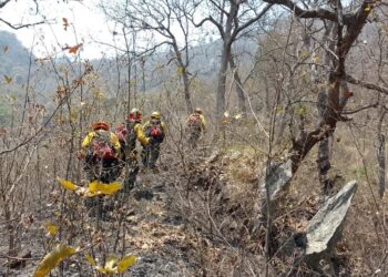 Refuerzan acciones para proteger la sierra de Las Minas