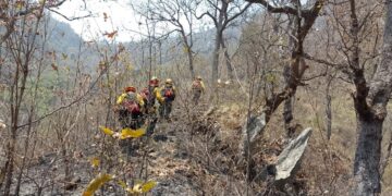 Refuerzan acciones para proteger la sierra de Las Minas