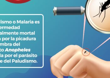 Salud llama a prevenir el paludismo