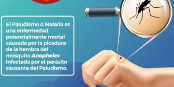 Salud llama a prevenir el paludismo
