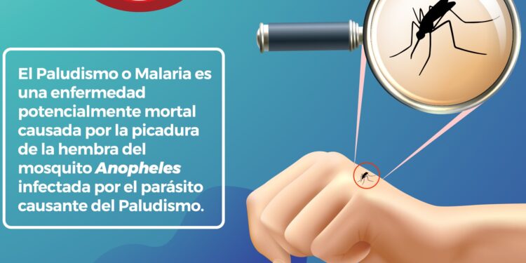 Salud llama a prevenir el paludismo