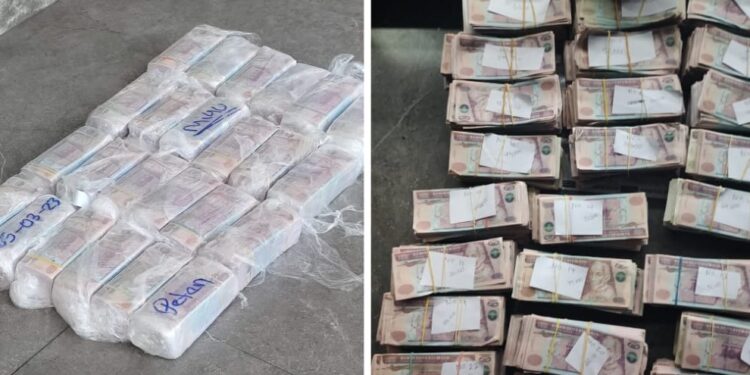 Operativos antinarcóticos rinden frutos