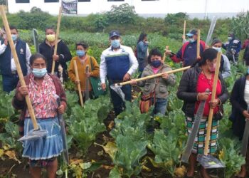 MAGA socializa proyectos de Hogar Rural en Alta Verapaz