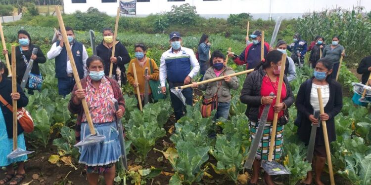 MAGA socializa proyectos de Hogar Rural en Alta Verapaz